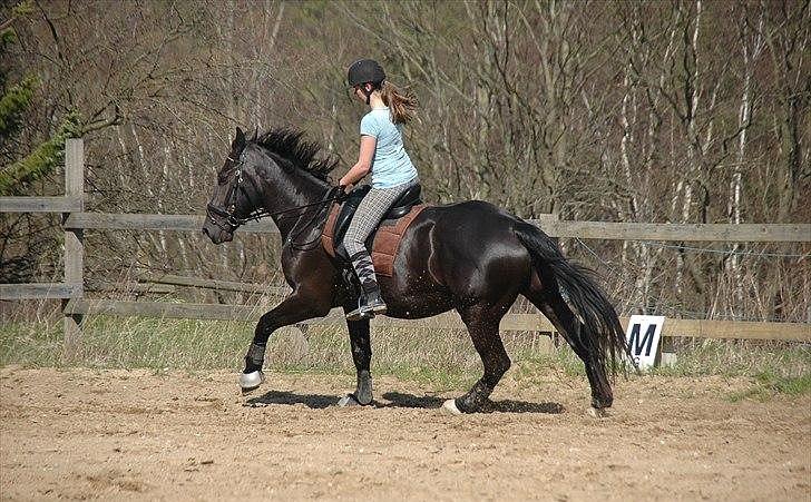 Oldenborg Larissha - Chris og jeg i en hurtig galop! - taget af Freia jensen! billede 13