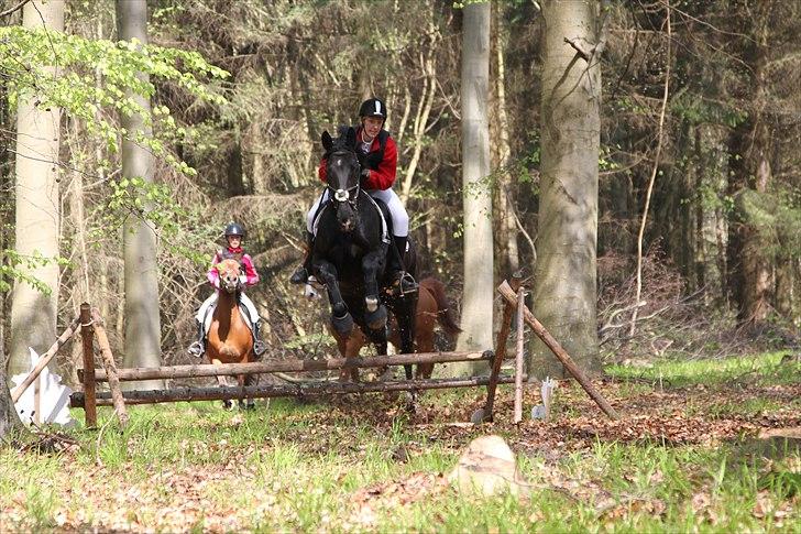 Oldenborg Montana Vestermølle, Solgt til Fredensborg. - Vores jagtdebut på Langeland den 22 april. billede 16