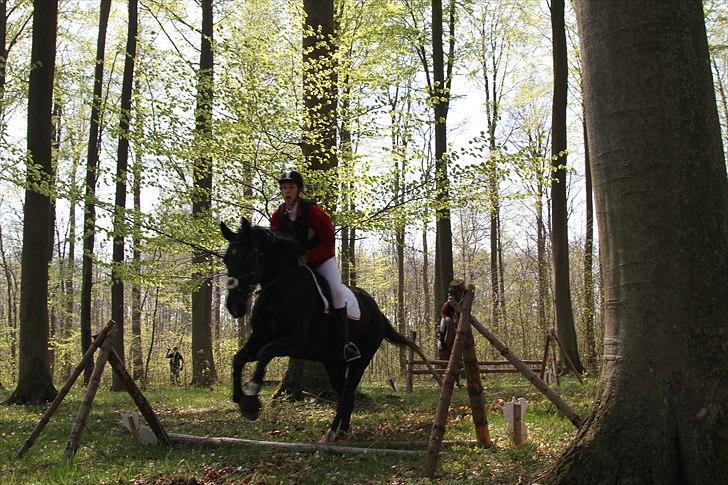 Oldenborg Montana Vestermølle, Solgt til Fredensborg. - Spring eller ej så skal der sku hoppes :-) billede 17
