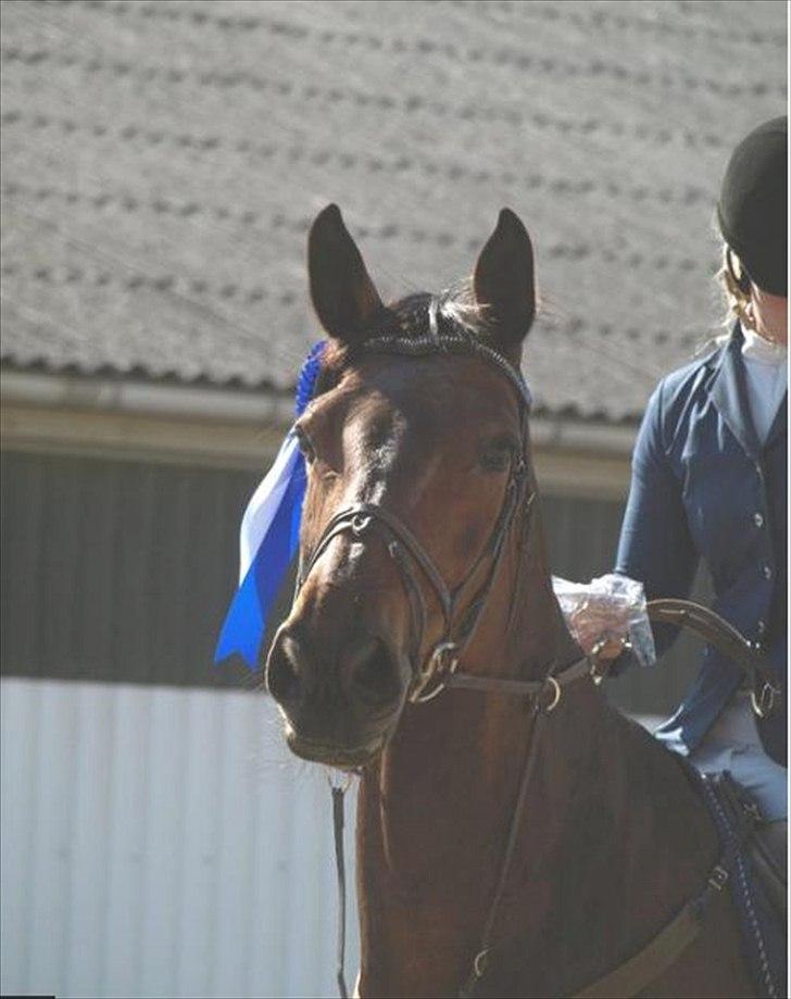 Holstener Miserable - Nr. 2 Amagermesterskab 8/5-11 Foto: Sandra Starke Pedersen billede 1