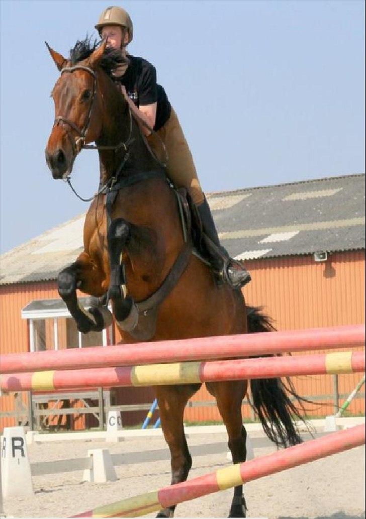 Holstener Miserable - 21/4-11 Foto: Kim Bahnsen billede 3