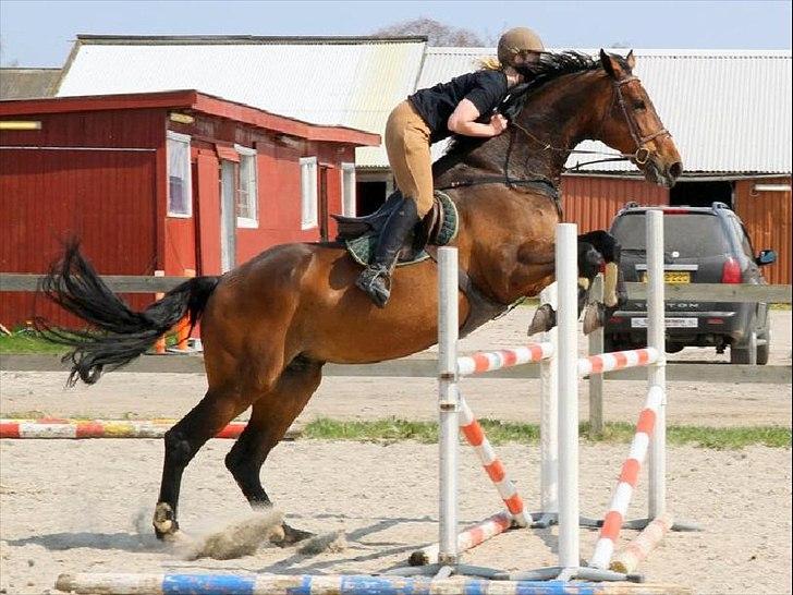 Holstener Miserable - 21/4-11 Foto: Kim Bahnsen billede 4