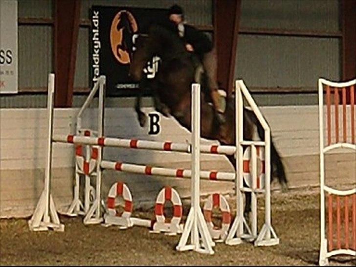 Holstener Miserable - Sløjfestævne 16/10-10 billede 5