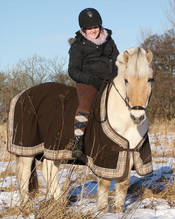 Fjordhest Pepsi pony - Vinterbilled<3.    **Fotograf: Emilie.  billede 8