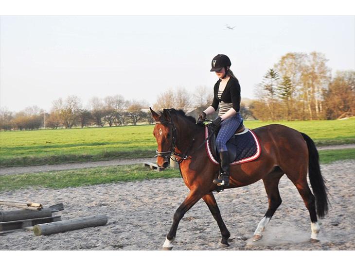 {{currentPhoto.altText}} billede {{currentPhoto.number}}