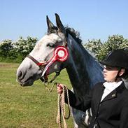 Anden særlig race Millenium Surprice