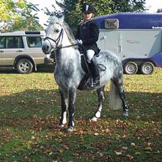 Anden særlig race Magic Silver 