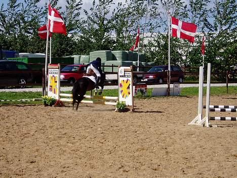 Anden særlig race Dixie *SAVN !* billede 1