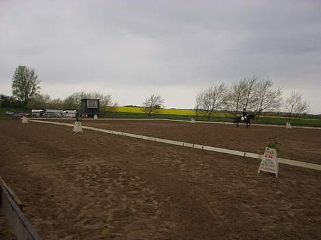 Anden særlig race Vandmøllens Tjengo <3 - Stævne på Falken. Elsker den pony. Taget af: Mor billede 3