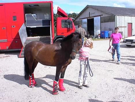 Anden særlig race Vandmøllens Tjengo <3 - Tjengo og jeg - den dag jeg fik ham (1. august 2000) Elsker den pony billede 9