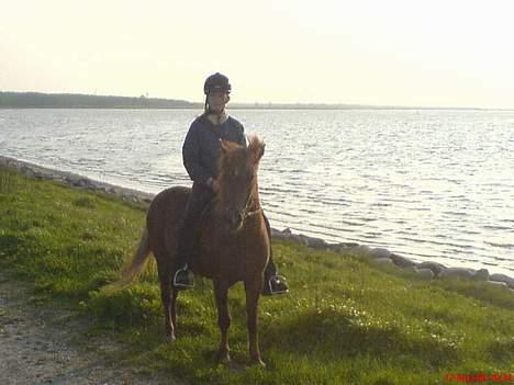 Islænder Nadia *Død* - Nadia & jeg ved fjorden. Maj  2006. billede 12