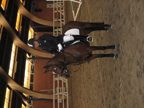 New Forest Bækkeskovens Helicon billede 6