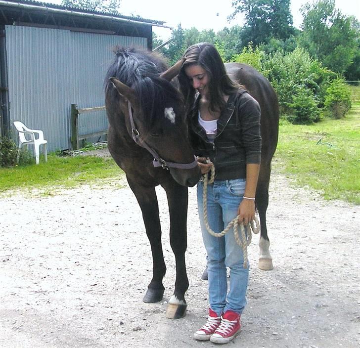 Anden særlig race Chikila - Chikila´manden og mig, ude på hingstefolden. (: Juli 07, foto: Tananna. Jeg elsker dig Chikila <3 billede 13