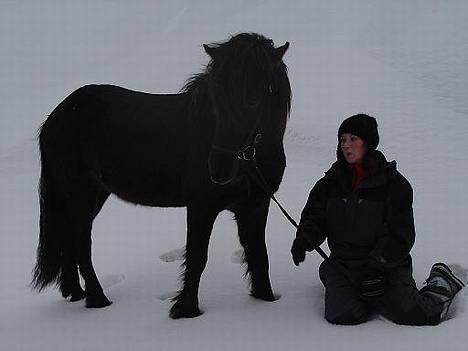 Islænder Krummi fra Støvbogård - Os to i sneen... billede 16