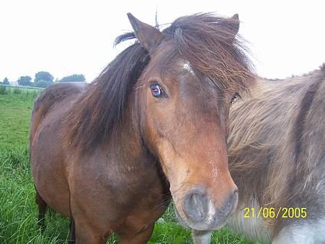 Miniature Krumme billede 3