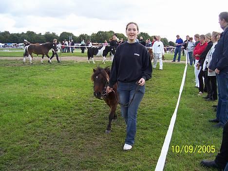 Miniature Krumme billede 4