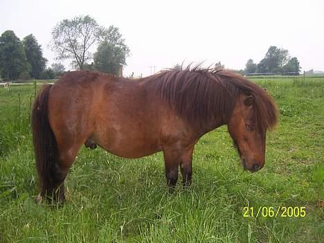 Miniature Krumme billede 5