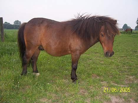 Miniature Krumme billede 10