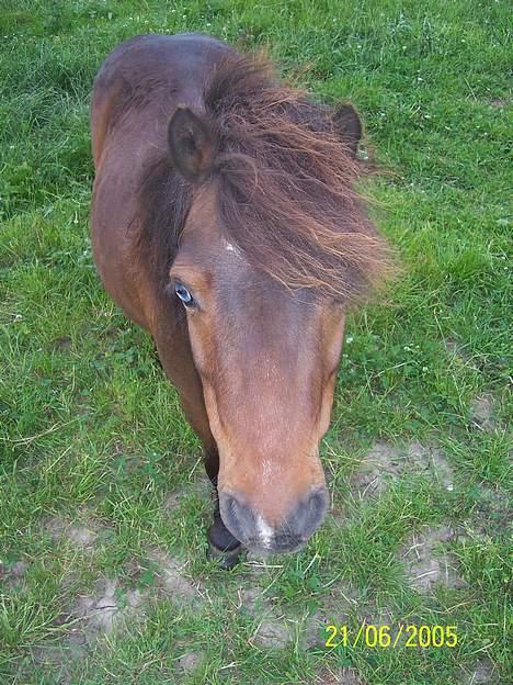 Miniature Krumme billede 11