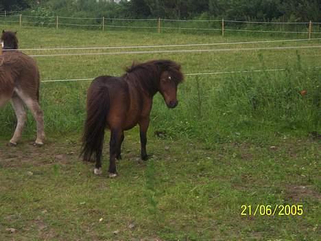 Miniature Krumme billede 12