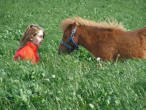 Anden særlig race Ketil  - Min veninde sammen med ketil .... billede 9