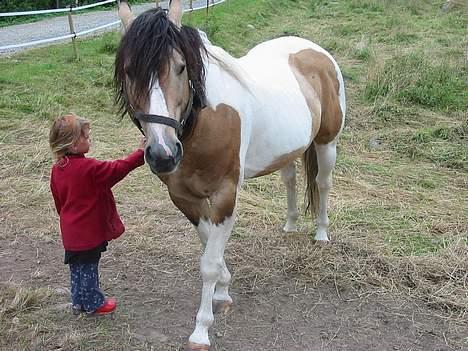 Paint Gamblers watnsee  billede 4