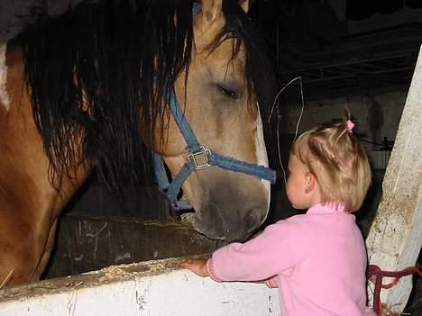 Paint Gamblers watnsee  - kan du også lige klø mig på rykken du lille menneskebarn  billede 5