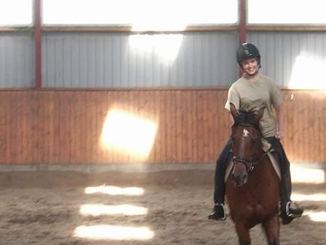 Anden særlig race Comet billede 11