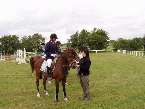 Anden særlig race Filur rakosi  solgt - premieoverrikkelse billede 11