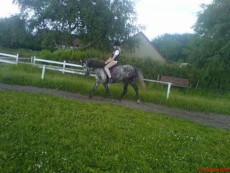 Anden særlig race Tulle - Sommeren 06... Mig og Tulle i dressur.. Min søs har taget det skævt.. Hehe billede 6