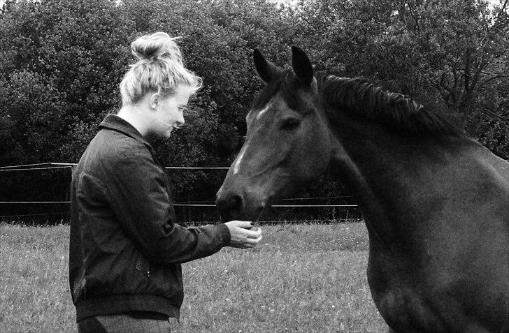Hollandsk Sportspony Ferro - mit evige savn! - glemmer aldrig de 4 år vi havde sammen billede 1