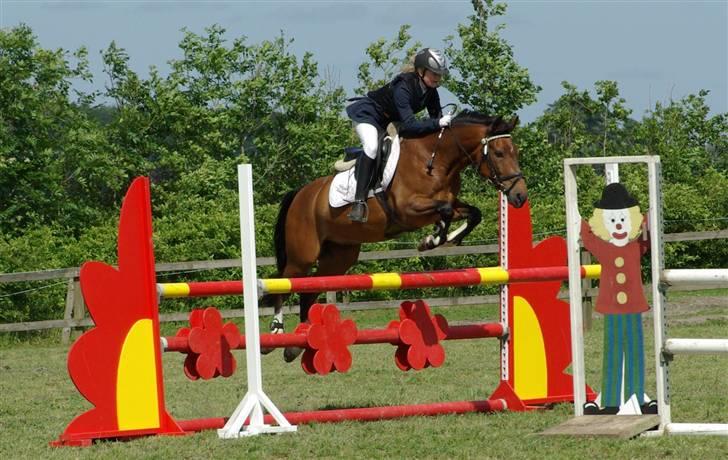 Hollandsk Sportspony Ferro - mit evige savn! - ferro & Stine - MB 0 fejl 2. plads  :D:D billede 10