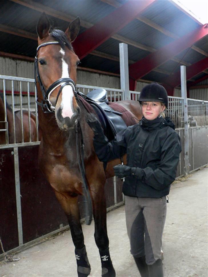 Dansk Varmblod Flying dream - Aflivet  - Til kursus ved bjørklund. Hos Maria Andersen. Vi prøvede at piafer lidt : D billede 17