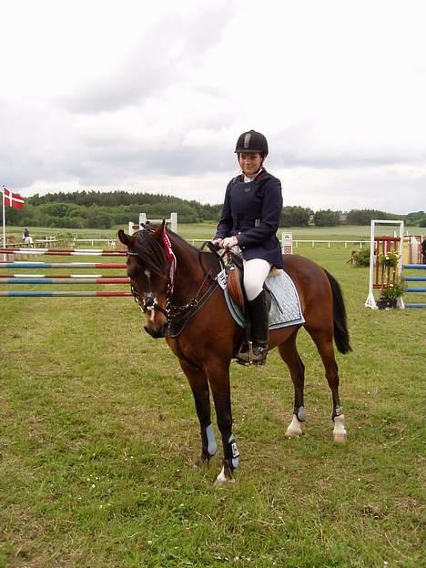 Anden særlig race Filur rakosi  solgt - igen billede 12