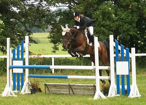 Anden særlig race Tiggi ( solgt ) billede 15