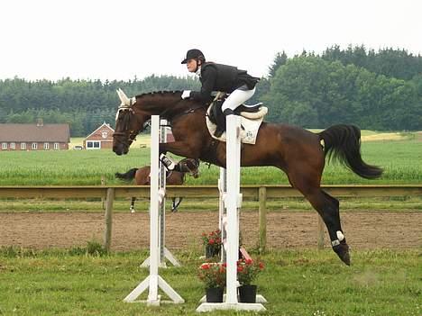 Anden særlig race Tiggi ( solgt ) billede 16