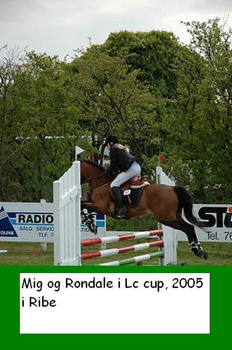 New Forest Moorland's Rondale *Død* - spring ribe 2005 billede 14