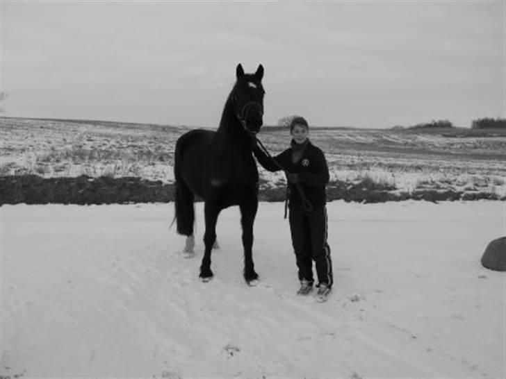 Welsh Cob (sec D) Haymos Chagal <3 Sov sødt <3 - Chagal og mig. Dagen efter jeg havde fået ham (: FOTO: min far billede 15