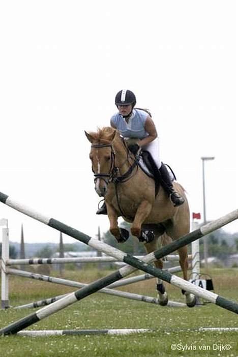 Anden særlig race Shiva -solgt- - Fra springstaevne den 24juni billede 18