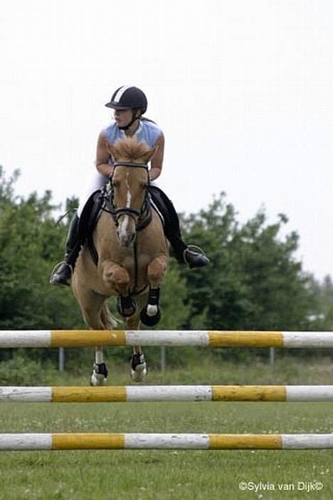 Anden særlig race Shiva -solgt- - Fra springstaevne den 24juni billede 19