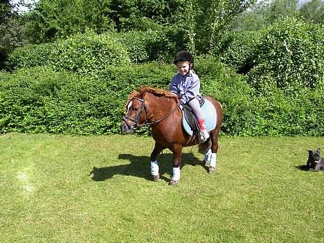 Shetlænder urban  - Mig og Nanna :p billede 12