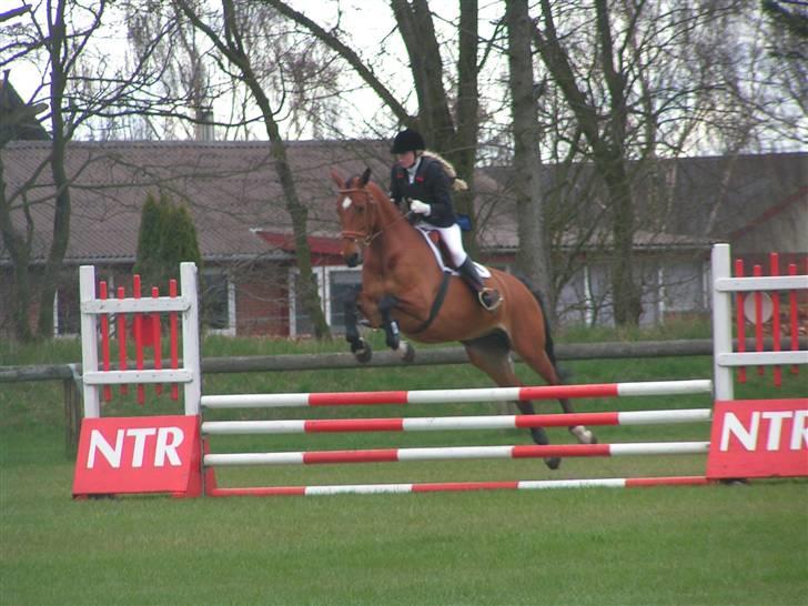 Dansk Varmblod <3 Simone Landlyst †07 - 13) April06: Simone gennemfører sin første LD xD ikke at det ser godt ud, men hun ELSKER at springe billede 12