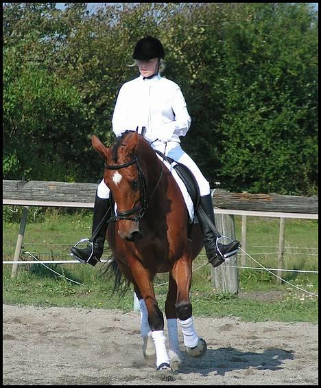 Dansk Varmblod <3 Simone Landlyst †07 - 14) 16/9 06 Opvarmning til stævne på NTR billede 13