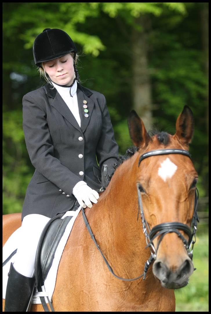 Dansk Varmblod <3 Simone Landlyst †07 - 20) Maj06: Momsebob og jeg endnu engang. Der er vist poseret på mig, men jeg synes hun så så sød ud på billedet ^^ billede 19