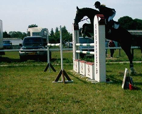 Dansk Varmblod NAPOLI - Napoli i første spring i dobbeltspring i MB. billede 10