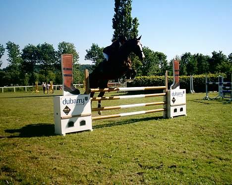 Dansk Varmblod NAPOLI - Fynsmesterskab for seniorer den 11. juni billede 12
