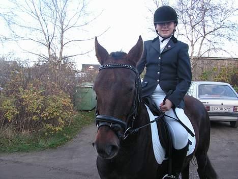 New Forest Sheridon - vores første stævner... det gik ikk såå godt!!!!!! billede 3