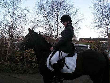 New Forest Sheridon - vores første stævne!!!! billede 5