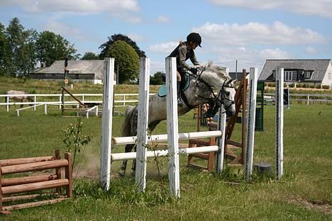 Anden særlig race Magic Silver  - 5# Træningslejr. billede 5