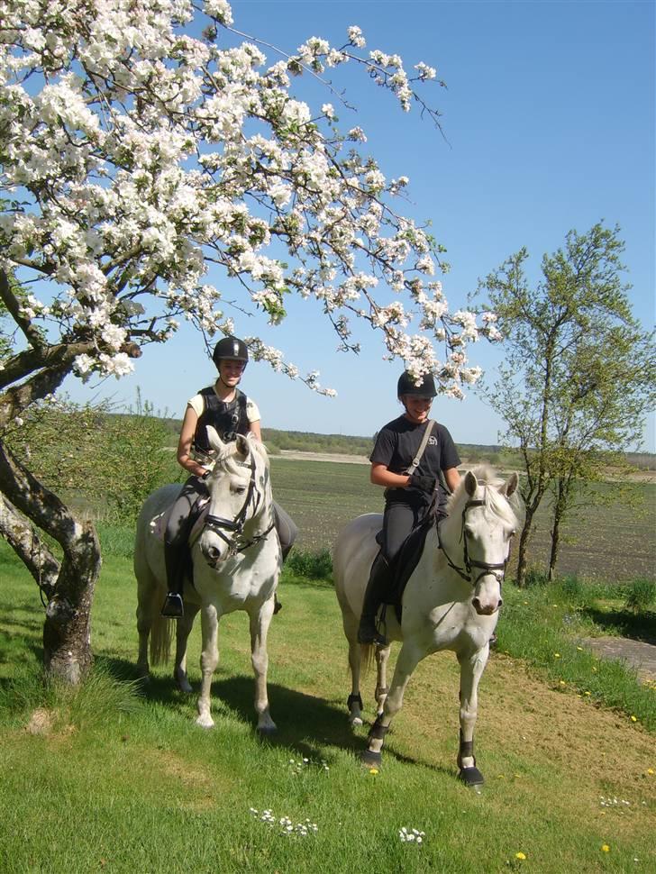 Connemara sara <3 - Astrid og jeg hjemme hos mig på Flamme og Sara<3 billede 4